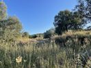 Αγροτεμάχια 4.741τ.μ. για πώληση-Λευκάδα » Απολλώνιο
