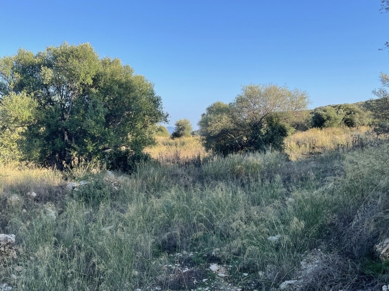 Αγροτεμάχια 4.741 τ.μ. προς πώληση, Απολλώνιο