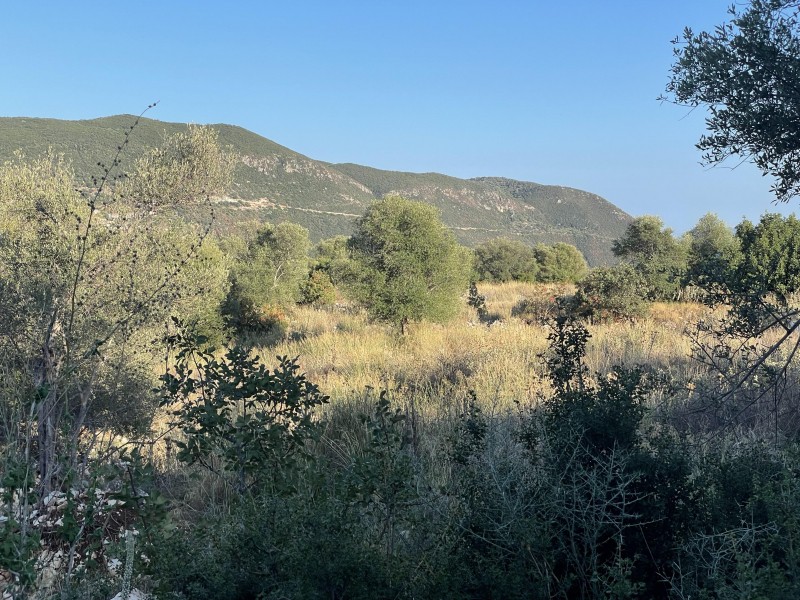 Αγροτεμάχια 4.741 τ.μ. προς πώληση, Απολλώνιο