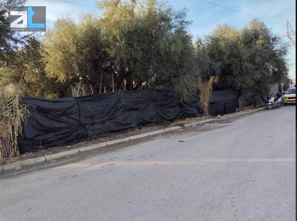 Οικόπεδο 500 τ.μ. προς πώληση, Αχαΐα, Μεσσατίδα