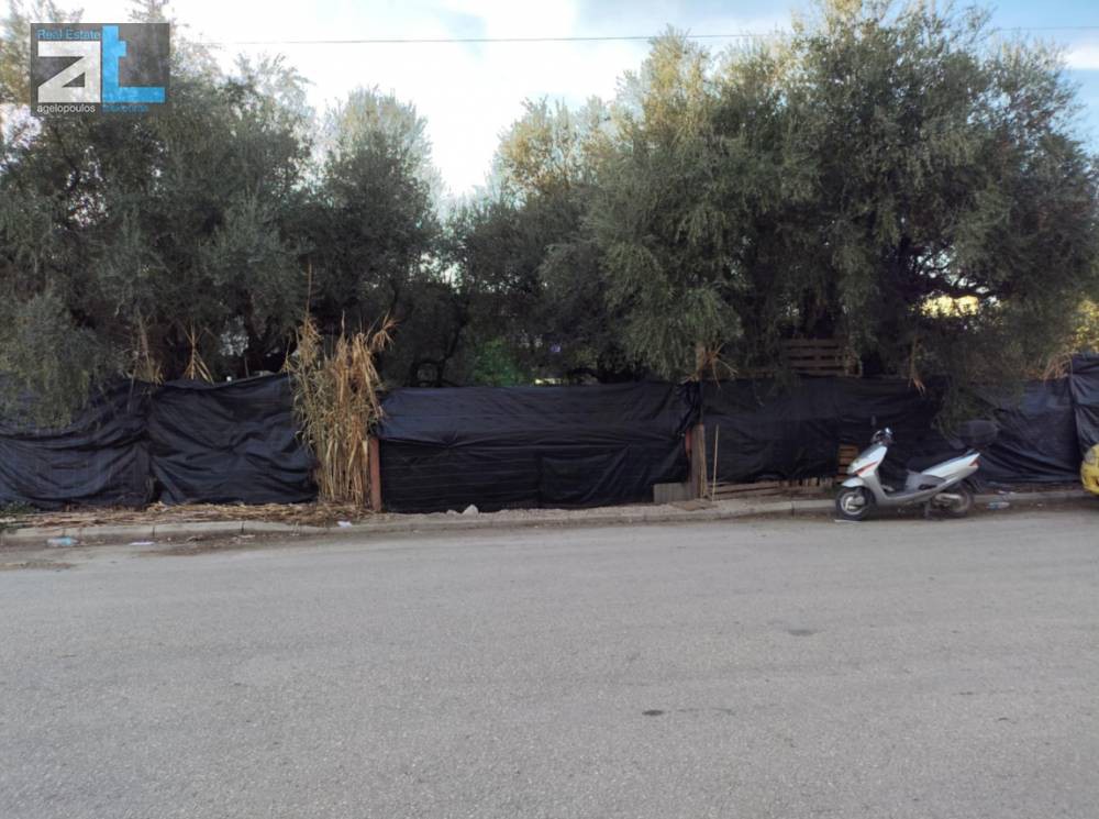 Οικόπεδο 500 τ.μ. προς πώληση, Αχαΐα, Μεσσατίδα