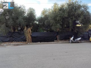 Οικόπεδο 500 τ.μ. για πώληση, Αχαΐα, Μεσσατίδα-thumb-3
