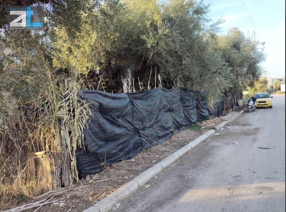 Οικόπεδο 500 τ.μ. προς πώληση, Αχαΐα, Μεσσατίδα