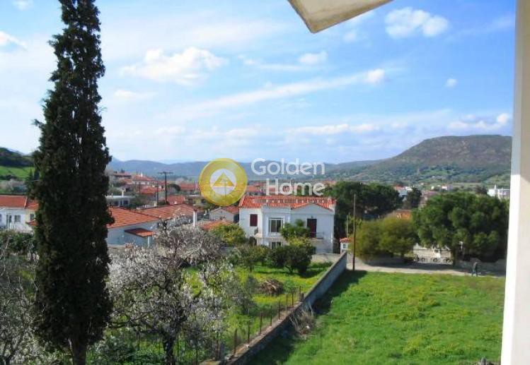 Μονοκατοικία 367 τ.μ. πρός πώληση, Εύβοια, Δύστος