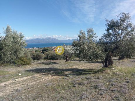 Αγροτεμάχια 20.000τ.μ. για πώληση-Αυλώνα