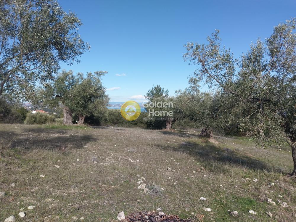 Αγροτεμάχια 20.000 τ.μ. προς πώληση, Αυλώνα Αττικής