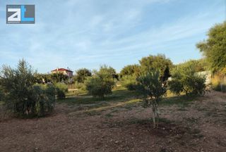 Οικόπεδο 3.700 τ.μ. για ενοικίαση, Αχαΐα, Μεσσατίδα-thumb-7
