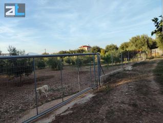 Οικόπεδο 3.700 τ.μ. για ενοικίαση, Αχαΐα, Μεσσατίδα-thumb-6