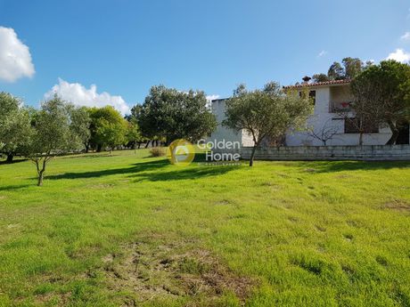Μονοκατοικία 112τ.μ. για πώληση-Κερατέα » Σάκκα