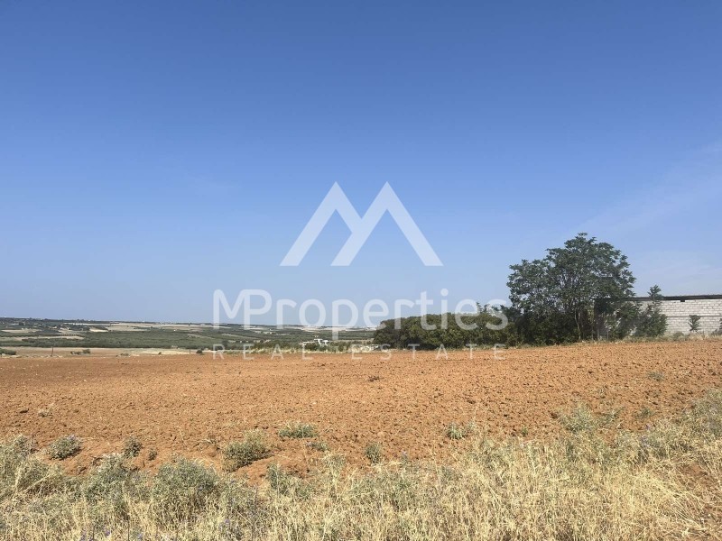 Αγροτεμάχια 10.000 τ.μ. προς πώληση, Νέα Σίλατα