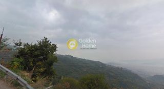 Αγροτεμάχια 2.036 τ.μ. για πώληση