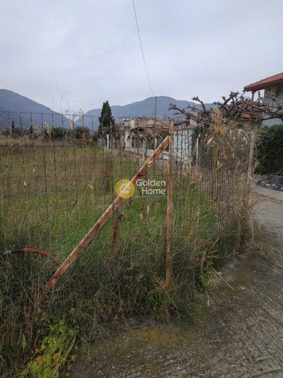 Οικόπεδο 1.160 τ.μ. προς πώληση, Φωκίδα, Τολοφώνα