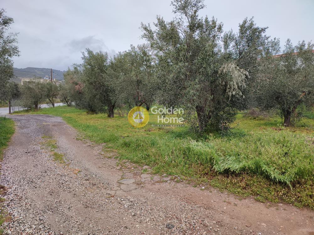 Μονοκατοικία 187 τ.μ. πρός πώληση, Αθήνα - Ανατολικά Προάστια, Μαραθώνας