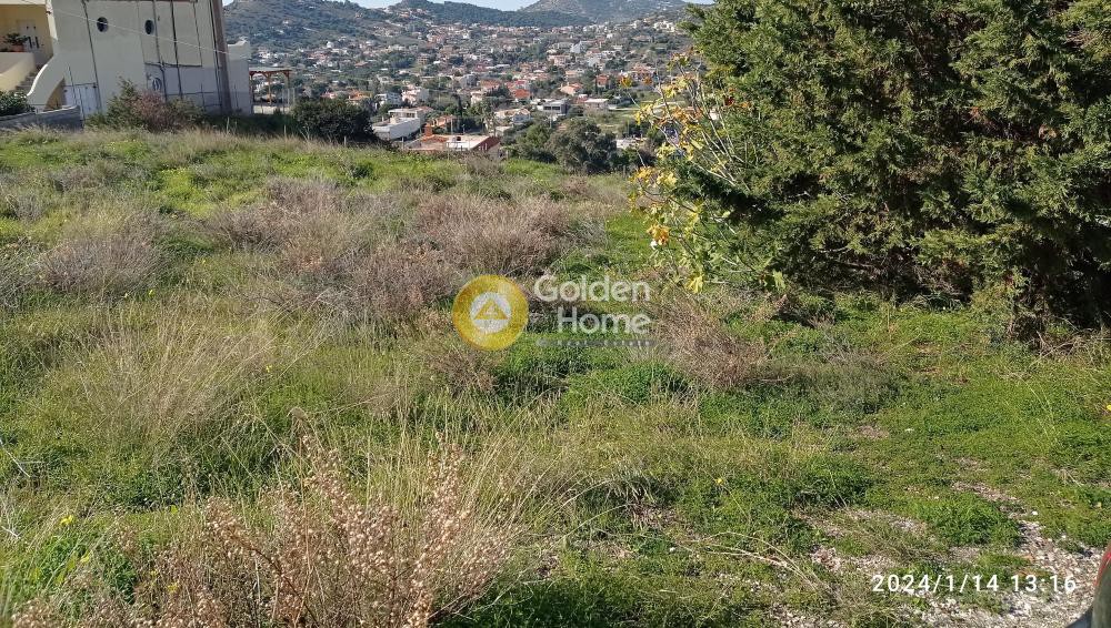 Οικόπεδο 4.010 τ.μ. προς πώληση, Αττική - Υπόλοιπο, Καλύβια Θορικού