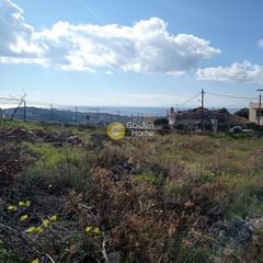 Οικόπεδο 4.010 τ.μ. για πώληση