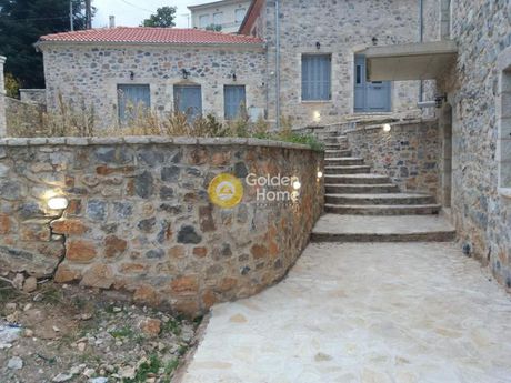 Ξενοδοχείο 265τ.μ. για πώληση-Λεβίδι » Ορχομενός