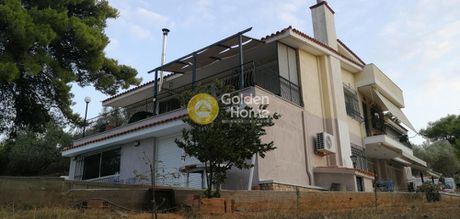 Μονοκατοικία 330τ.μ. για πώληση-Πικέρμι » Κέντρο