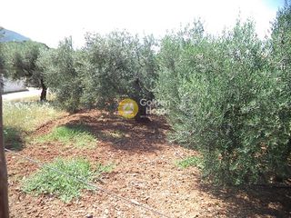 Οικόπεδο 2.000 τ.μ. για πώληση, Ν. Καρδίτσας, Σοφάδες-thumb-2