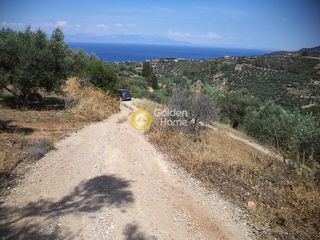 Οικόπεδο 2.000 τ.μ. για πώληση, Ν. Καρδίτσας, Σοφάδες-thumb-3