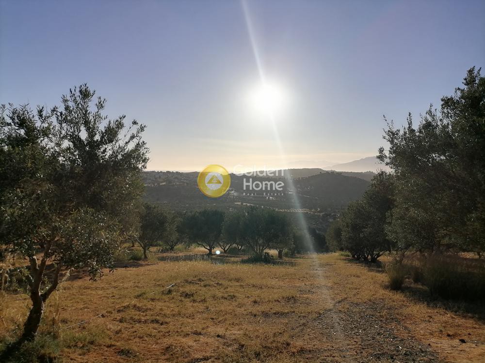 Οικόπεδο 6.871 τ.μ. προς πώληση, Ν. Ηρακλείου, Τυμπάκι