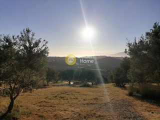 Οικόπεδο 6.871 τ.μ. για πώληση, Ν. Ηρακλείου, Τυμπάκι-thumb-3