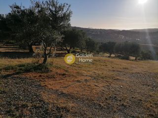 Οικόπεδο 6.871 τ.μ. για πώληση, Ν. Ηρακλείου, Τυμπάκι-thumb-16