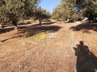 Οικόπεδο 6.871 τ.μ. για πώληση, Ν. Ηρακλείου, Τυμπάκι-thumb-6