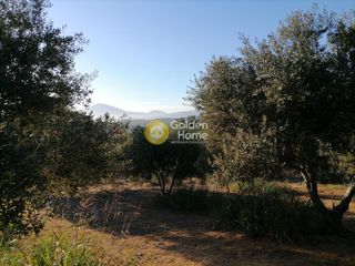 Οικόπεδο 6.871 τ.μ. για πώληση, Ν. Ηρακλείου, Τυμπάκι-thumb-11