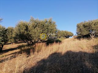 Οικόπεδο 6.871 τ.μ. για πώληση, Ν. Ηρακλείου, Τυμπάκι-thumb-14