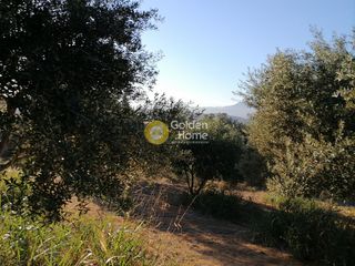 Οικόπεδο 6.871 τ.μ. για πώληση, Ν. Ηρακλείου, Τυμπάκι-thumb-13
