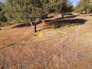 Οικόπεδο 6.871 τ.μ. για πώληση, Ν. Ηρακλείου, Τυμπάκι-thumb-7