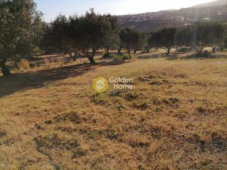 Οικόπεδο 6.871 τ.μ. για πώληση, Ν. Ηρακλείου, Τυμπάκι-thumb-4