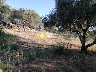 Οικόπεδο 6.871 τ.μ. για πώληση, Ν. Ηρακλείου, Τυμπάκι-thumb-10