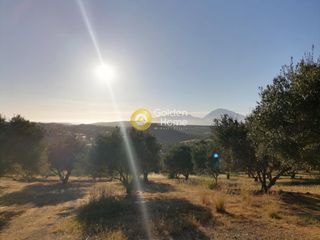 Οικόπεδο 6.871 τ.μ. για πώληση, Ν. Ηρακλείου, Τυμπάκι-thumb-2