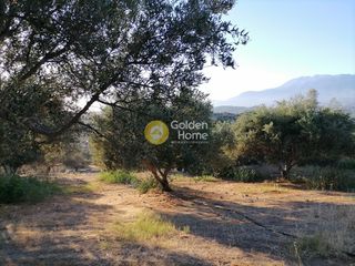 Οικόπεδο 6.871 τ.μ. για πώληση, Ν. Ηρακλείου, Τυμπάκι-thumb-9