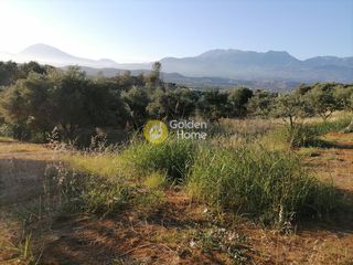 Οικόπεδο 6.871 τ.μ. για πώληση, Ν. Ηρακλείου, Τυμπάκι-thumb-8