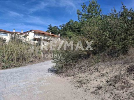 Parcel 6.500sqm for sale-Thermaikos » Peraia