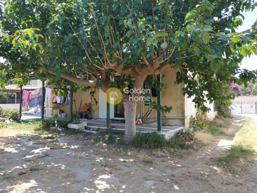 Μονοκατοικία 136 τ.μ. πρός πώληση, Εύβοια, Δύστος