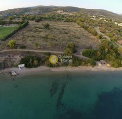 Οικόπεδο 10.000 τ.μ. για πώληση, Εύβοια, Ληλάντιο-thumb-1