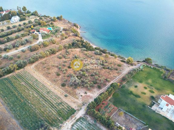 Οικόπεδο 10.000 τ.μ. για πώληση, Εύβοια, Ληλάντιο