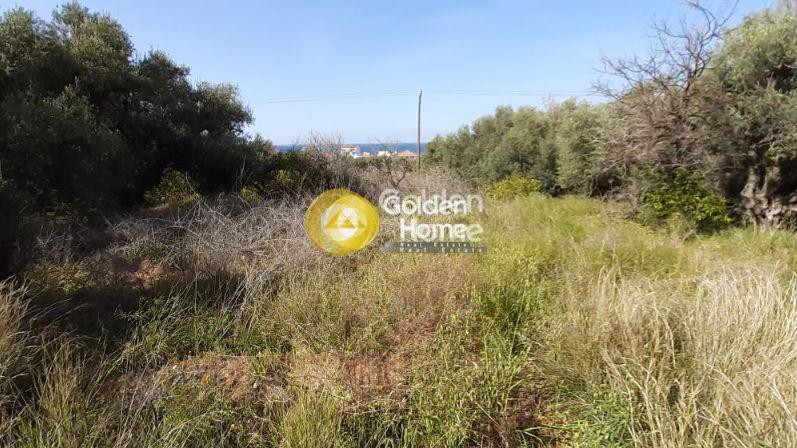 Οικόπεδο 570 τ.μ. προς πώληση, Κορινθία, Ευρωστίνη