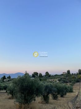 Αγροτεμάχια 4.150τ.μ. για πώληση-Γραμματικό » Κατηφόρι