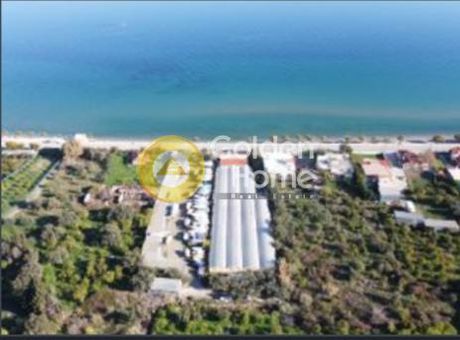 Αγροτεμάχια 3.500 τ.μ. για πώληση