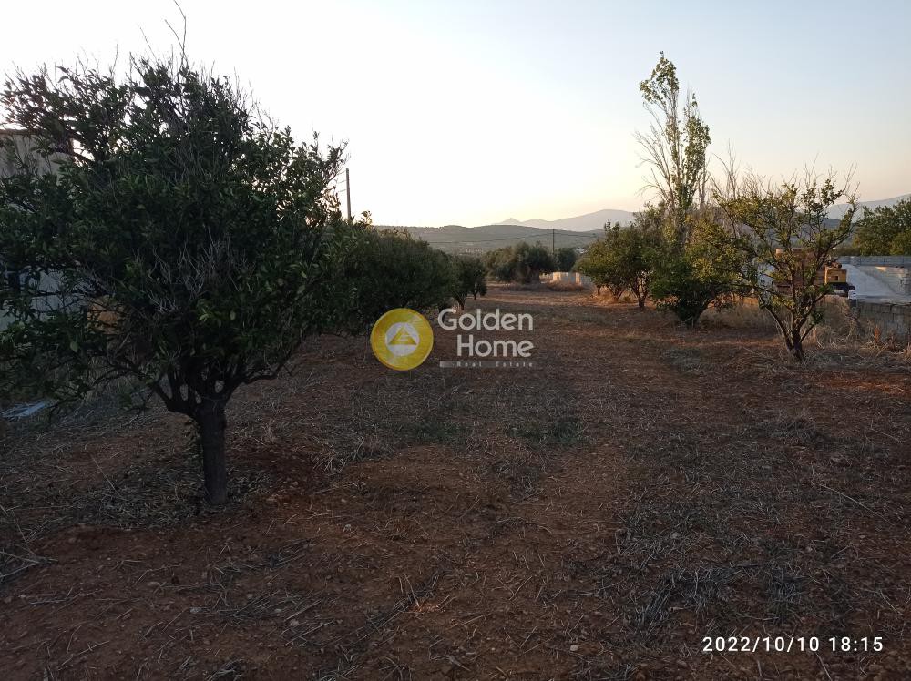 Μονοκατοικία 45 τ.μ. πρός πώληση, Αττική - Υπόλοιπο, Καλύβια Θορικού