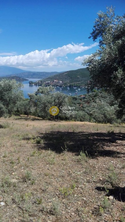 Αγροτεμάχια 11.000 τ.μ. πρός πώληση, Μαγνησία, Τρικέρι