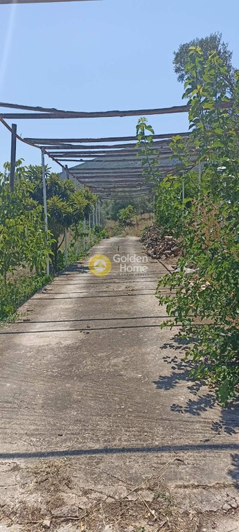 Οικόπεδο 8.500 τ.μ. προς πώληση, Αττική - Υπόλοιπο, Ωρωπός
