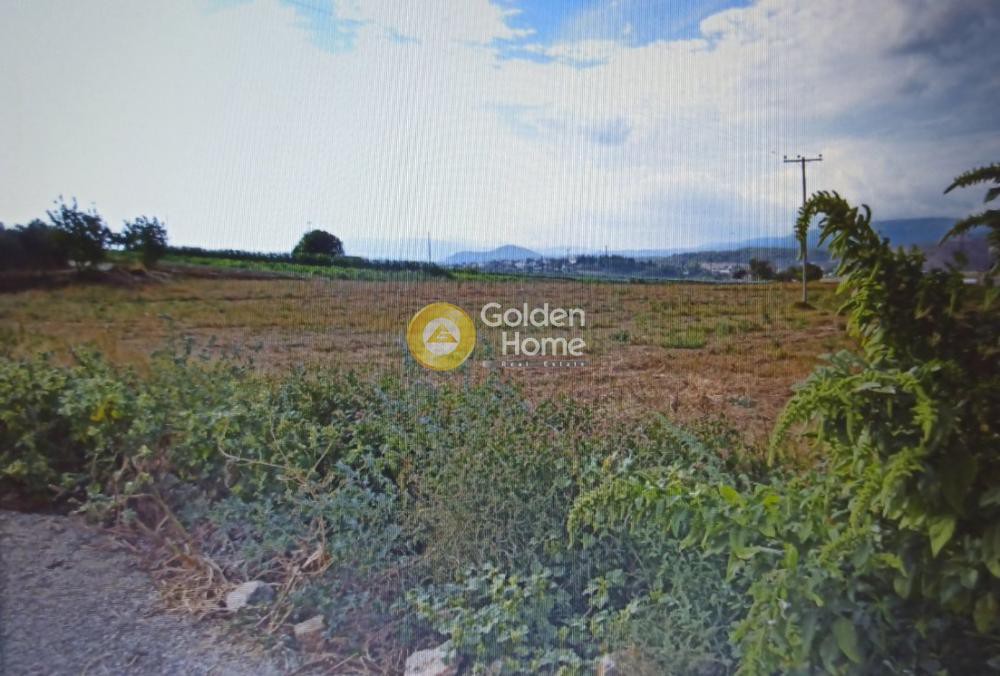 Land plot 10.000 sqm for sale, Evia, Messapia