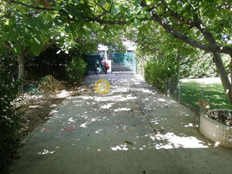 Land plot 1.670sqm for sale-Com. Skalas Oropou » Skala Oropou