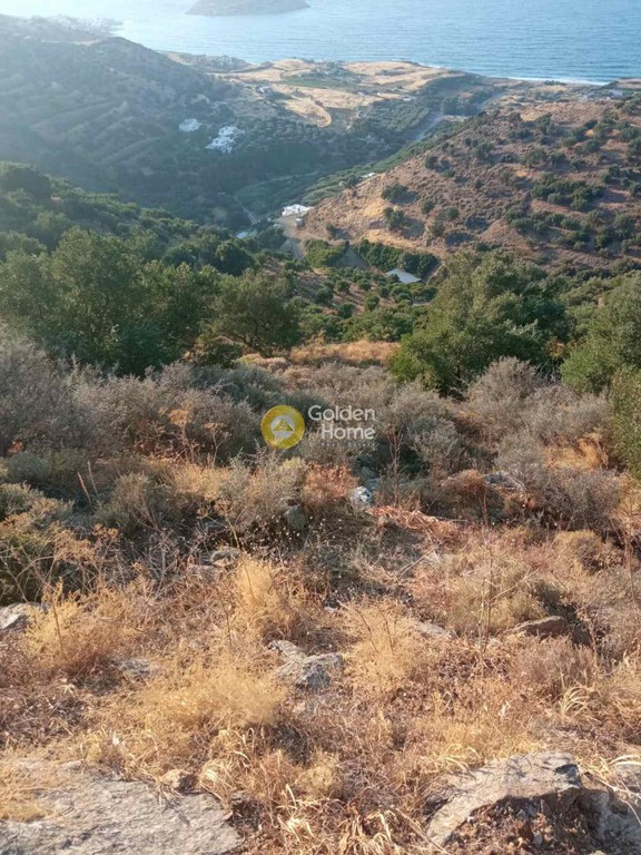 Οικόπεδο 4.200 τ.μ. προς πώληση, Ν. Λασιθίου, Σητεία