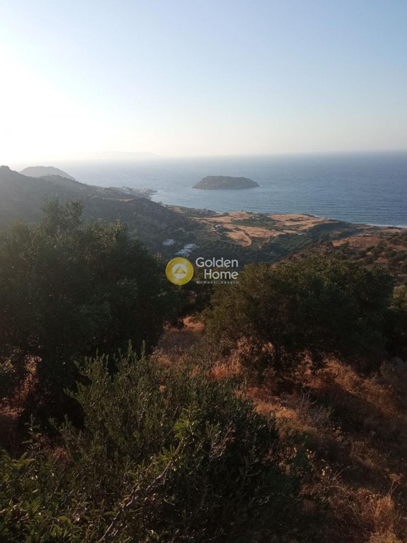 Οικόπεδο 4.200 τ.μ. προς πώληση, Ν. Λασιθίου, Σητεία